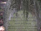 image of grave number 834696